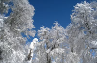 Valldemossa Apart Hotel